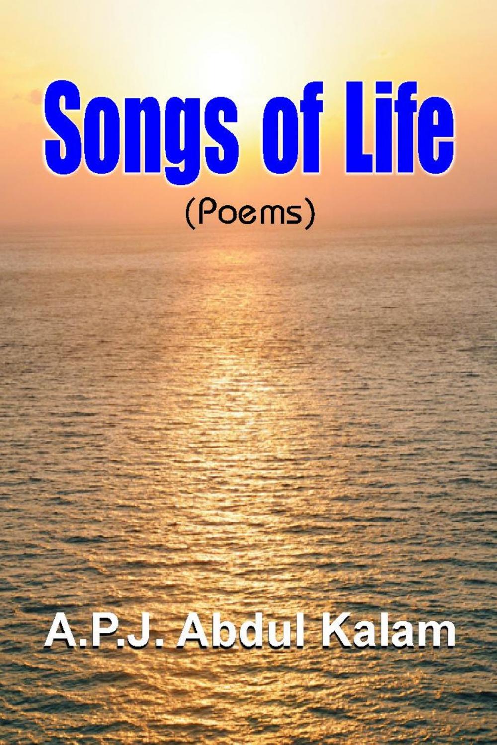 Big bigCover of Songs of Life