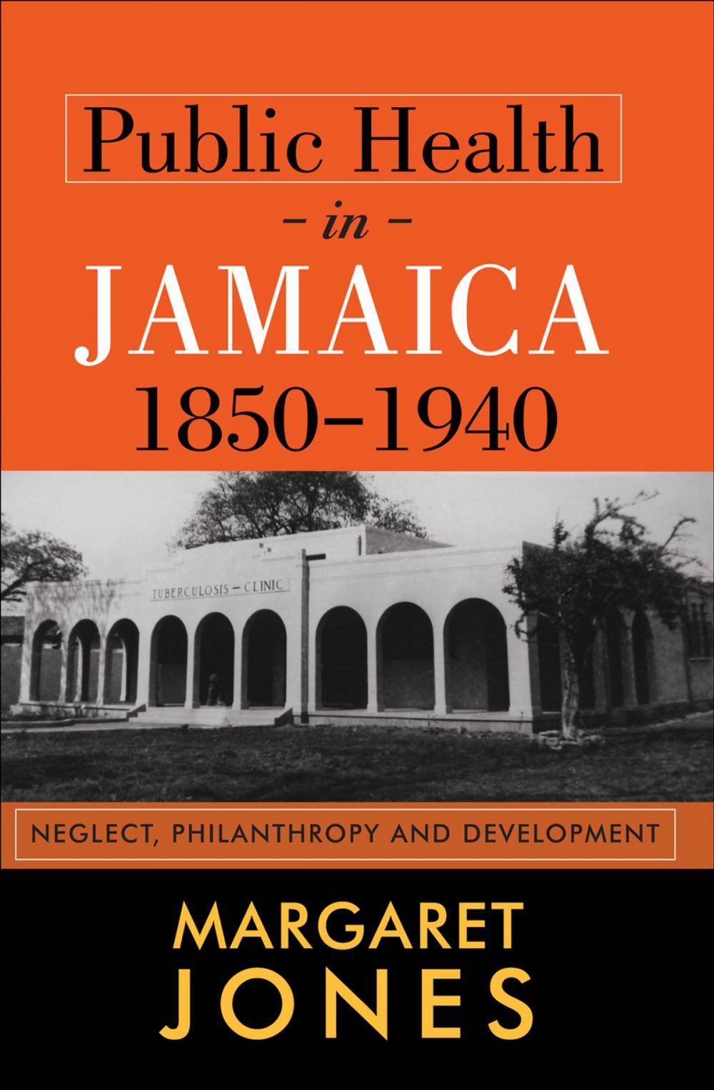 Big bigCover of Public Health in Jamaica, 1850-1940: Neglect, Philantropy and Development