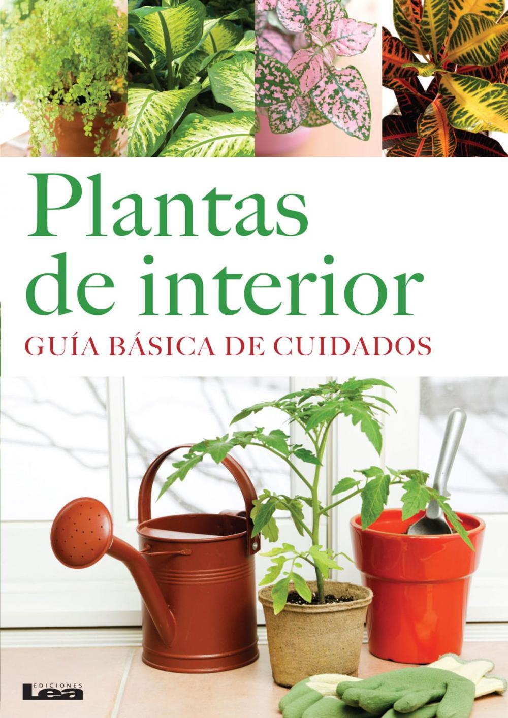 Big bigCover of Plantas de interior