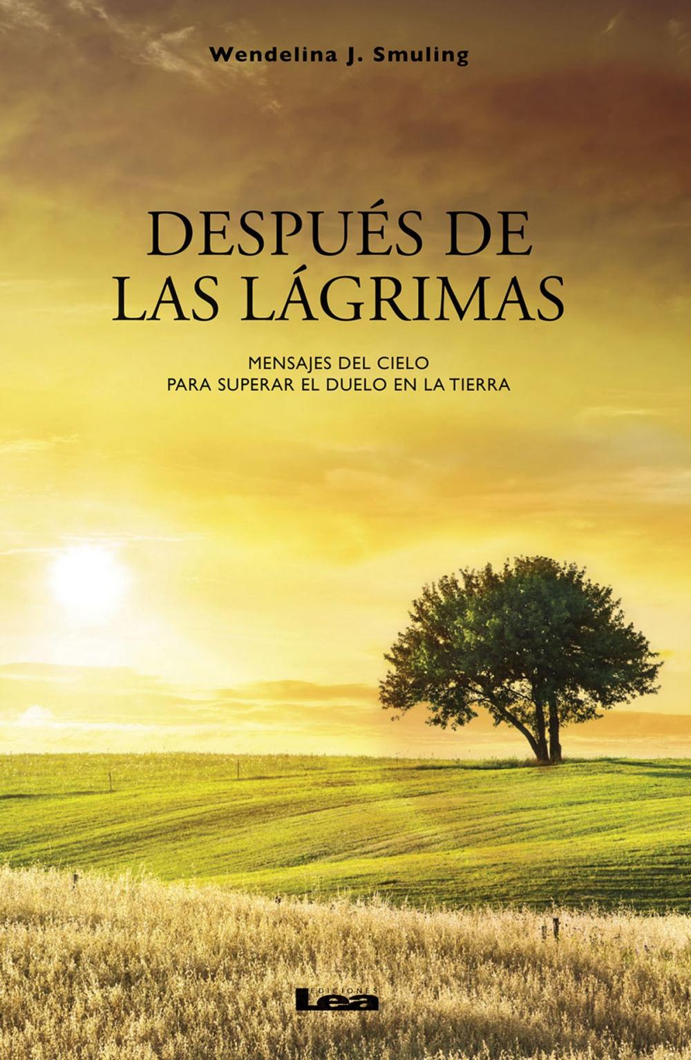 Big bigCover of Después de las lágrimas