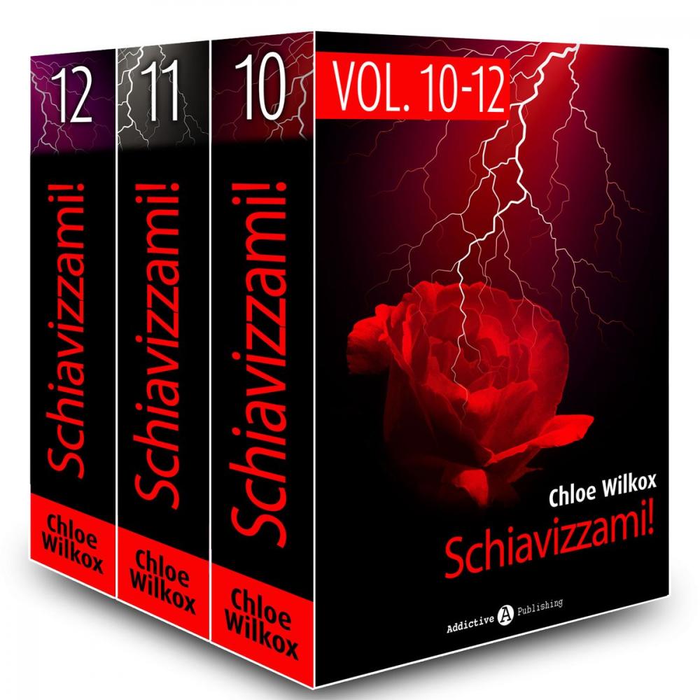 Big bigCover of Schiavizzami! - vol.10-12