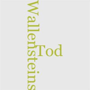 Cover of the book Wallensteins Tod by Ernest Rhys