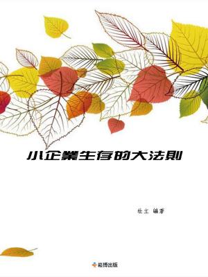 Cover of the book 小企業生存的大法則 by Stefanina Hill