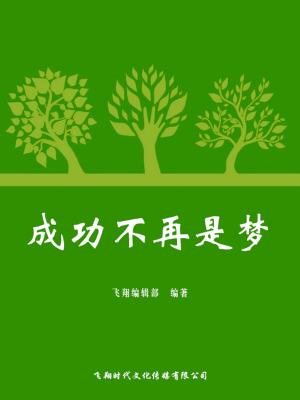 bigCover of the book 成功不再是梦 by 