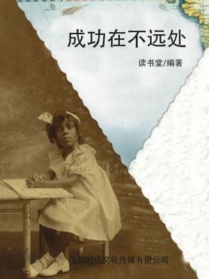 Cover of the book 成功在不远处 by Lonnie Helgerson
