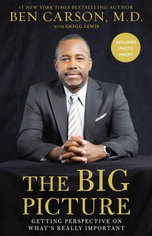 Cover of the book The Big Picture by Nick Harrison