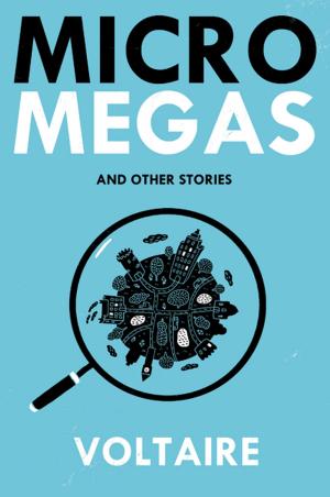 bigCover of the book Micromegas by 