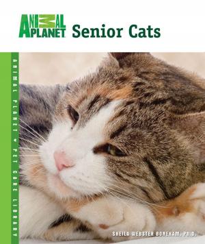Cover of the book Senior Cats by John F. Taylor