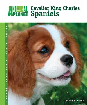 Cover of the book Cavalier King Charles Spaniels by Diane Morgan