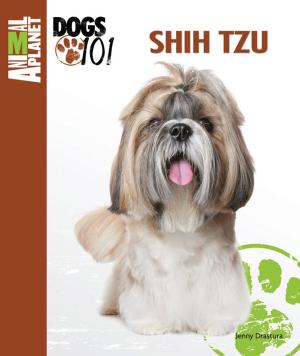 Cover of the book Shih Tzu by Tammy Gagne