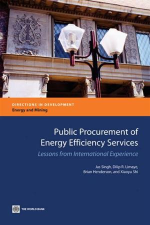 Cover of the book Public Procurement Of Energy Efficiency Services: Lessons From International Experience by Blouin Chantal; Drager Nick ; Smith Richard