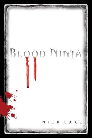 Cover of the book Blood Ninja by Adam Selzer
