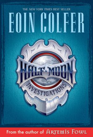 bigCover of the book Half Moon Investigations by 