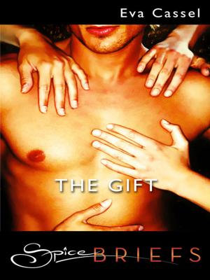 Cover of the book The Gift by Dionne Glynn