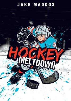 Cover of the book Hockey Meltdown by Elizabeth Raum