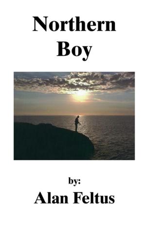 Book cover of Northern Boy