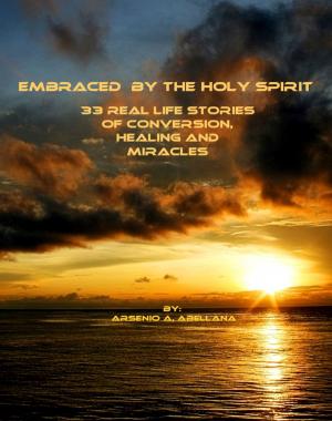 Cover of Embraced by the Holy Spirit