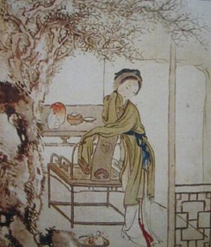 Cover of the book Hung Lou Meng or The Dream of the Red Chamber, 18th century Chinese novel by Christine Chianti