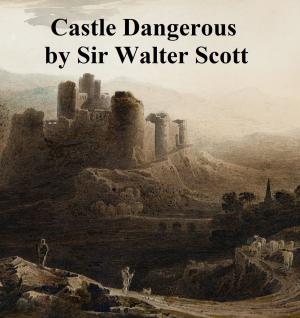 Book cover of Castle Dangerous