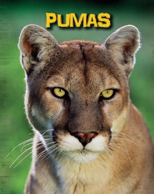 Cover of the book Pumas by Jake Maddox