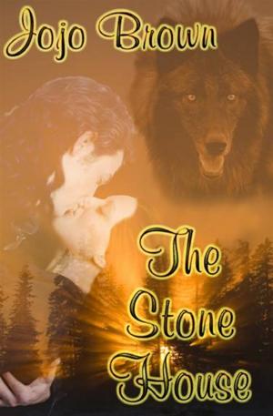 Cover of the book The Stone House by Chloe Raven