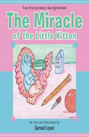 Cover of the book The Miracle of the Little Kitten by Mila Bernadkin