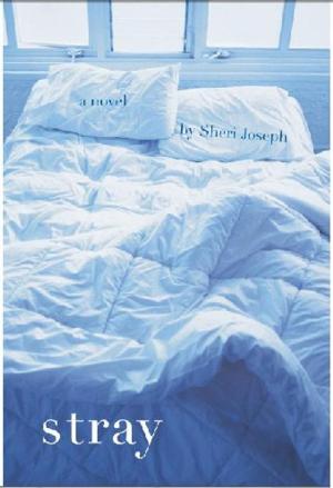 Cover of the book Stray by R.N. Shapiro