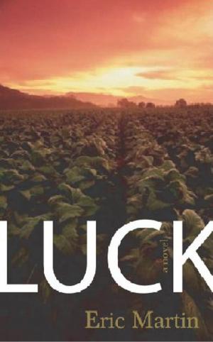 bigCover of the book Luck by 