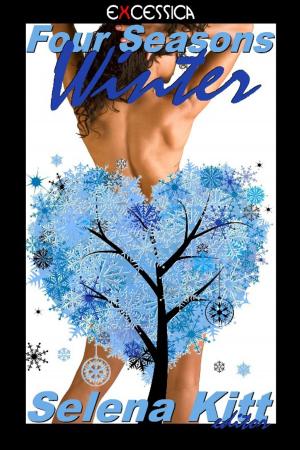 bigCover of the book Four Seasons: Winter by 