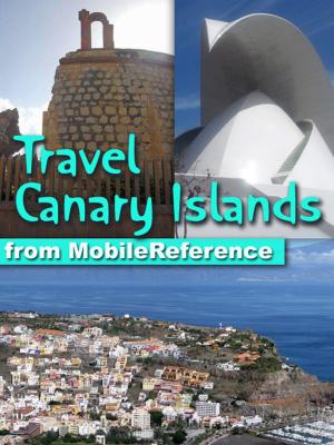 Cover of the book Travel Canary Islands by W. E. B. Du Bois
