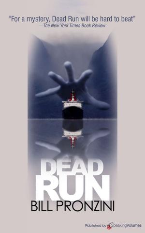 Cover of the book Dead Run by J.R. Roberts