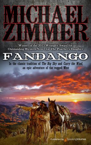 Cover of the book Fandango by William James Stoness