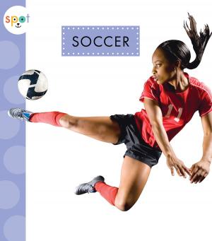 Cover of the book Soccer by Rebecca Felix