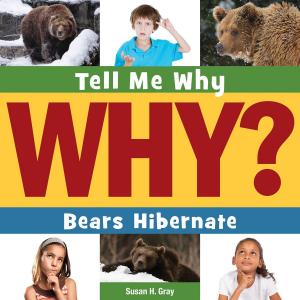 Cover of the book Bears Hibernate by Katie Marsico