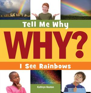Cover of the book I See Rainbows by Mari Schuh