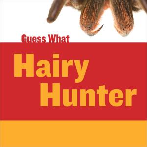 Cover of the book Hairy Hunter: Tarantula by Bobbie Kalman