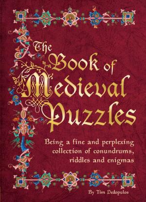 Cover of the book The Book of Medieval Puzzles by Roz Denny