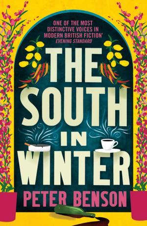 Cover of the book The South in Winter by Gustave Flaubert