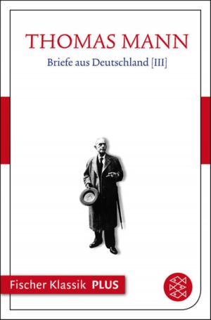Cover of the book Briefe aus Deutschland III by Florencia Bonelli