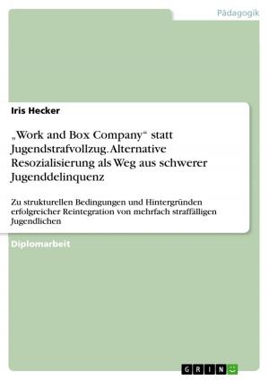 Cover of the book 'Work and Box Company' statt Jugendstrafvollzug. Alternative Resozialisierung als Weg aus schwerer Jugenddelinquenz by Nora Schrader