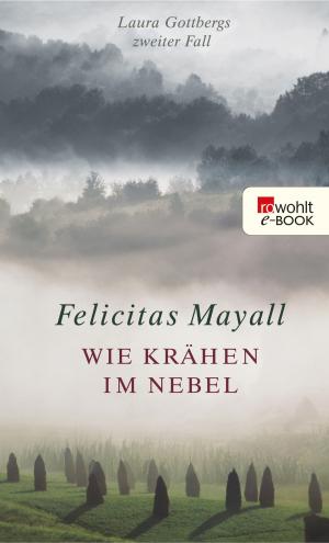 Cover of the book Wie Krähen im Nebel by Sandra Lüpkes