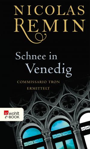 Cover of the book Schnee in Venedig by David Safier