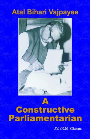 Cover of the book A Constructive Parliamentarian by Arun Anand