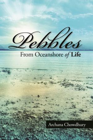 Cover of the book Pebbles from Oceanshore of life by Jagannath Goudo