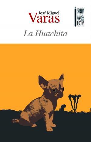 Cover of the book La Huachita by Eva van Mayen