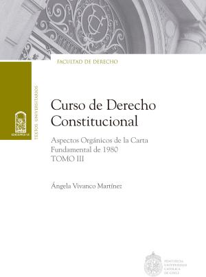 Cover of the book Curso de Derecho Constitucional by Lucía Guerra