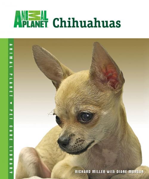 Cover of the book Chihuahuas by Richard Miller, TFH Publications, Inc.