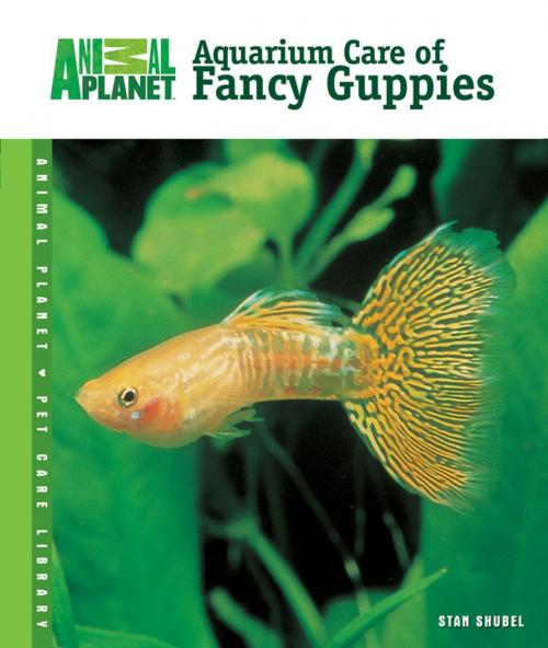 Cover of the book Aquarium Care of Fancy Guppies by Stan Shubel, TFH Publications, Inc.