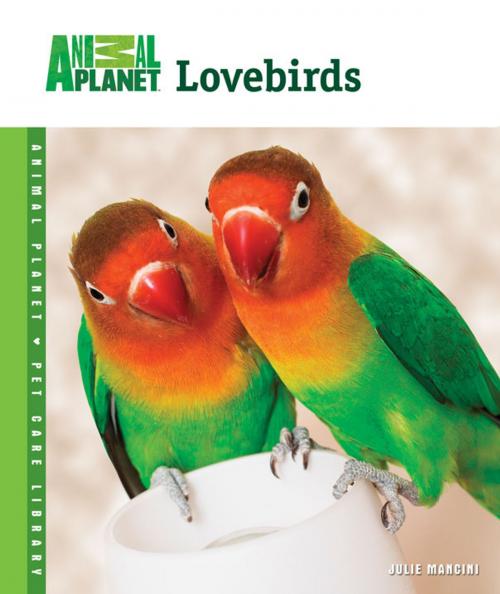 Cover of the book Lovebirds by Julie Mancini, TFH Publications, Inc.