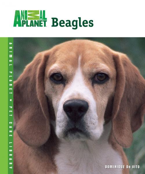 Cover of the book Beagles by Dominique De Vito, TFH Publications, Inc.